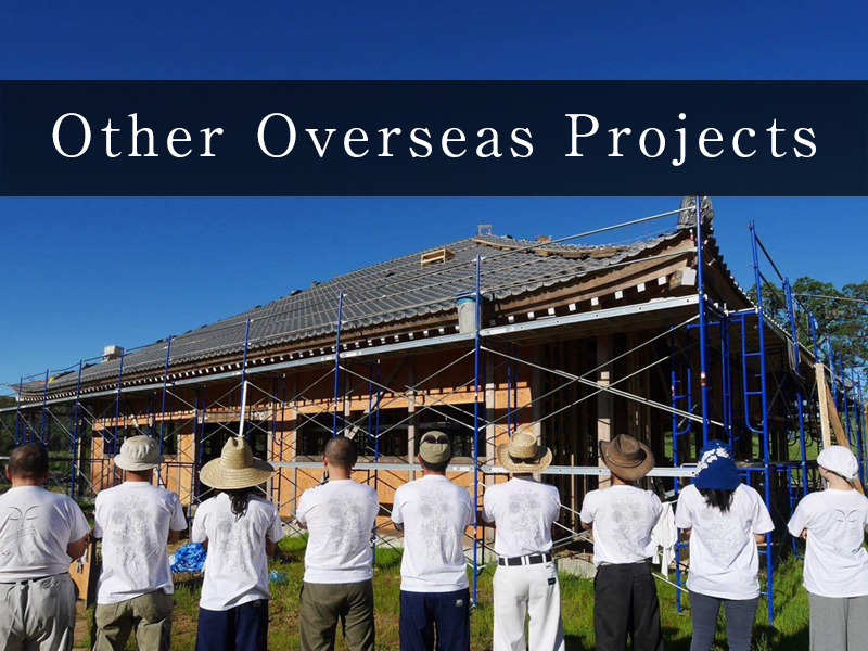 Other Overseas Projects