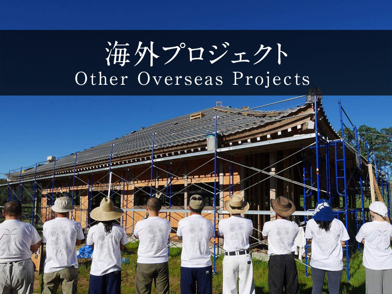 海外プロジェクト (Other Overseas Projects)